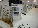 P1210357