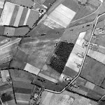 archeveques1954