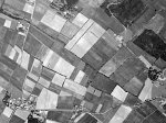 garrigue1954