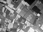 garrigue1960