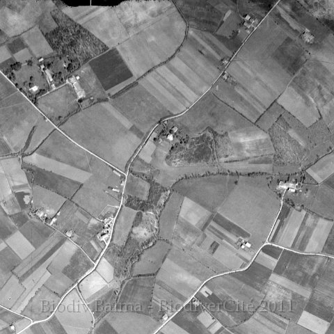 noncesse1946.jpg - Les berges du Noncesse en 1946 - Photo : IGN