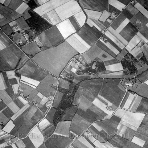 noncesse1954.jpg - Les berges du Noncesse en 1954 - Photo : IGN