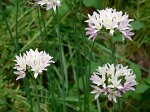 1092_0905F291