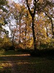 0707_GS_PetitBois