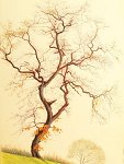 rc_015