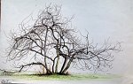 rc_017