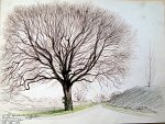 rc_020
