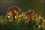 FG_Jeux_de_lumière_3