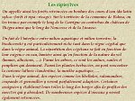 ripisylves