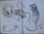 carnet_nature_023