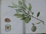 carnet_nature_051