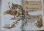 carnet_nature_053