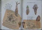 carnet_nature_059