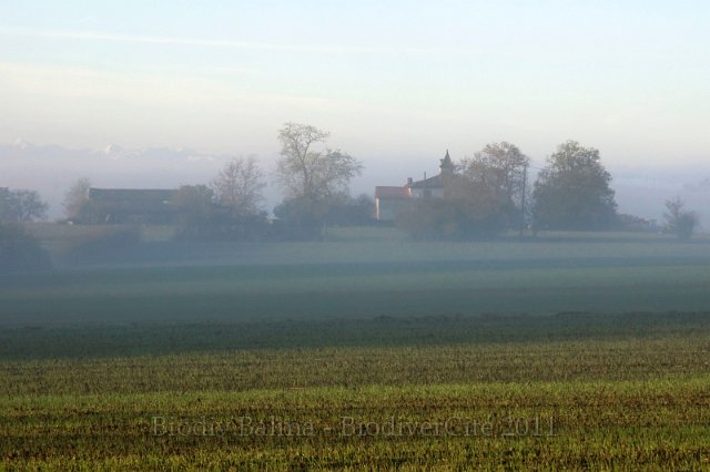 0616_Ble_et_brouillard.jpg - Blé en herbe et brouillard - Photo : François Granja