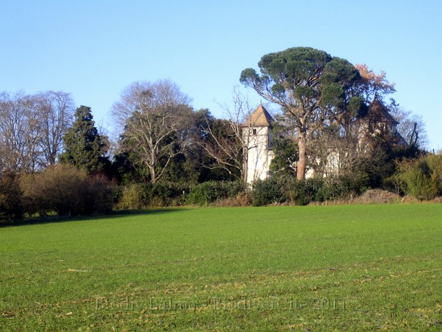 0624_PP_Cordiere.jpg - Champ de blé devant la Cordière - Photo : Pascal Prel